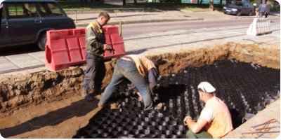 Георешетка объемная СТ ячейка 600х600 мм